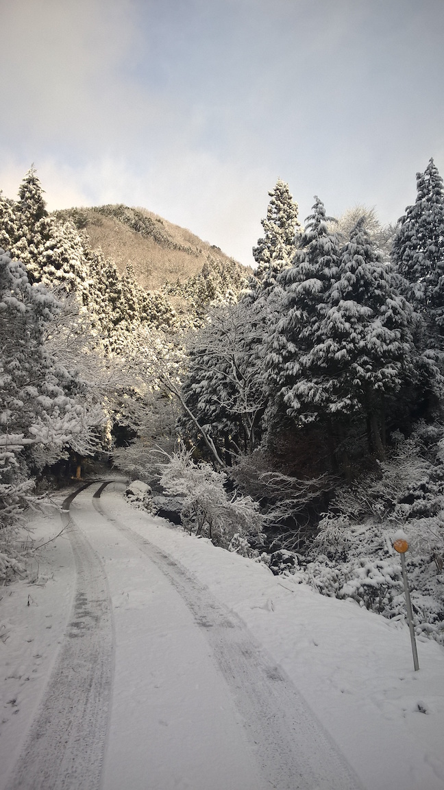 wp_20170212_09_29_48_pro