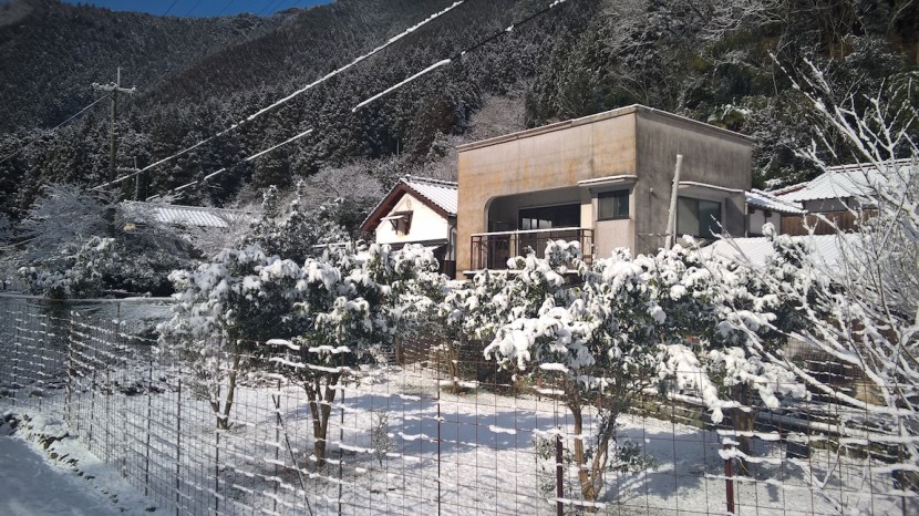 wp_20170212_09_40_00_pro