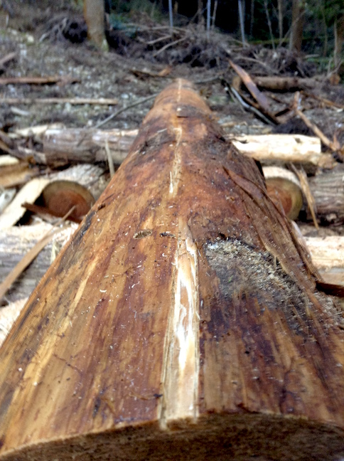 moitie_32946365624_o