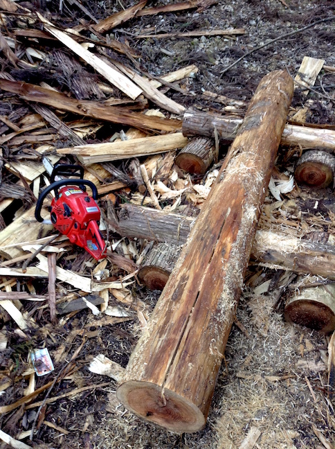 moitie_33660074921_o