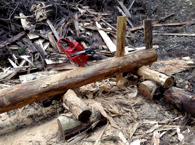 moitie_33748693816_o