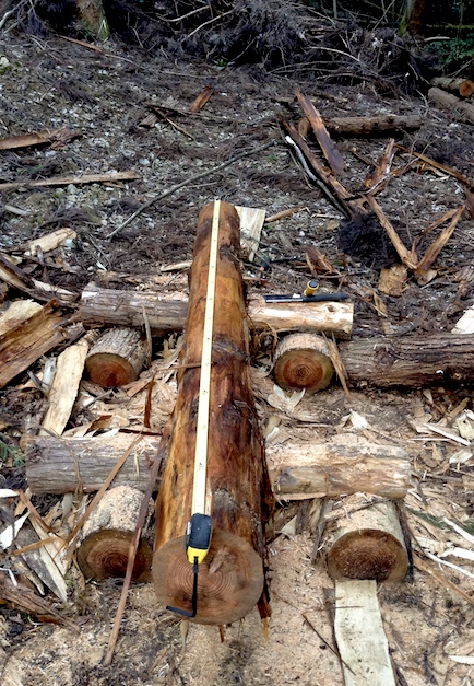 moitie_33789542435_o