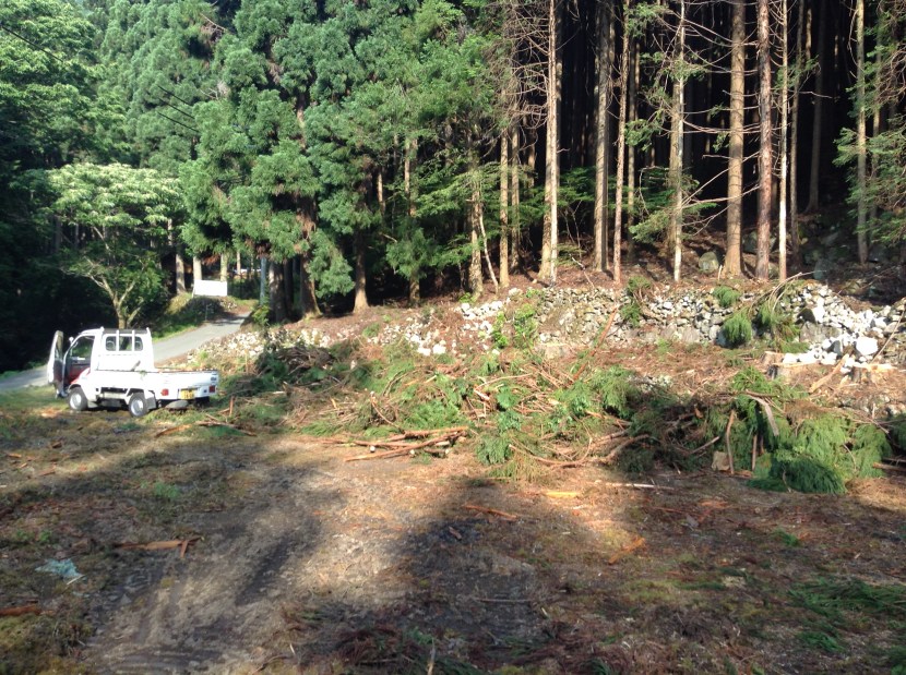 cryptomères claudel1dae_o