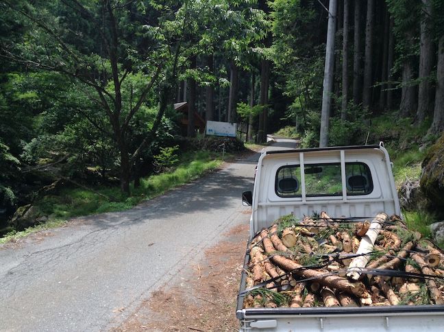 cryptomères claudel4d7_o