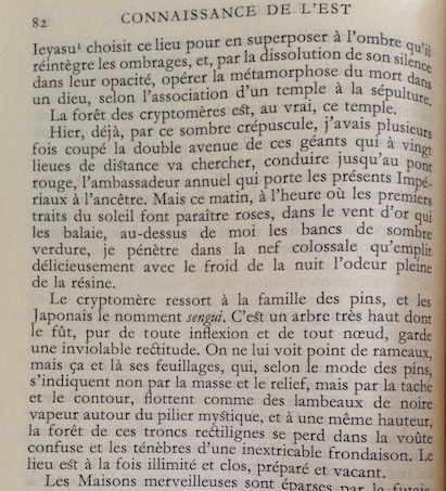 cryptomères claudele24_o