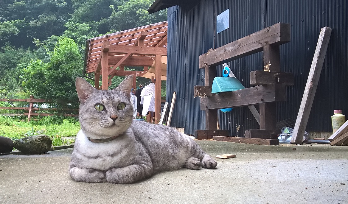 WP_20170815_13_09_30_Pro