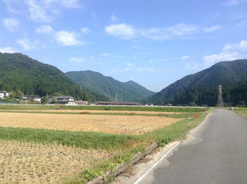 prom velo 1bd573d7_k