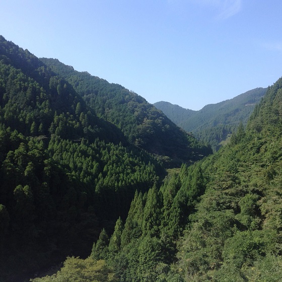 prom velo _9955e714cb_h