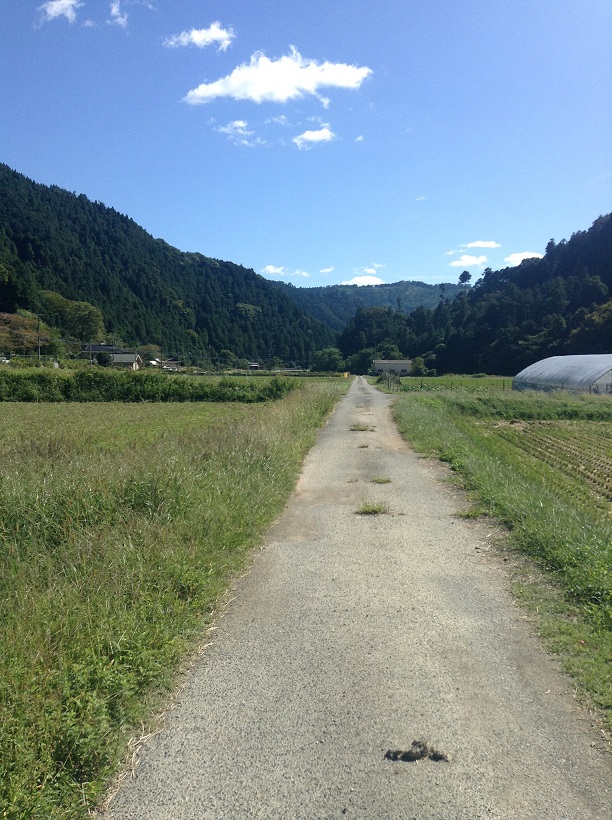 36777380544_86df49b21e_k