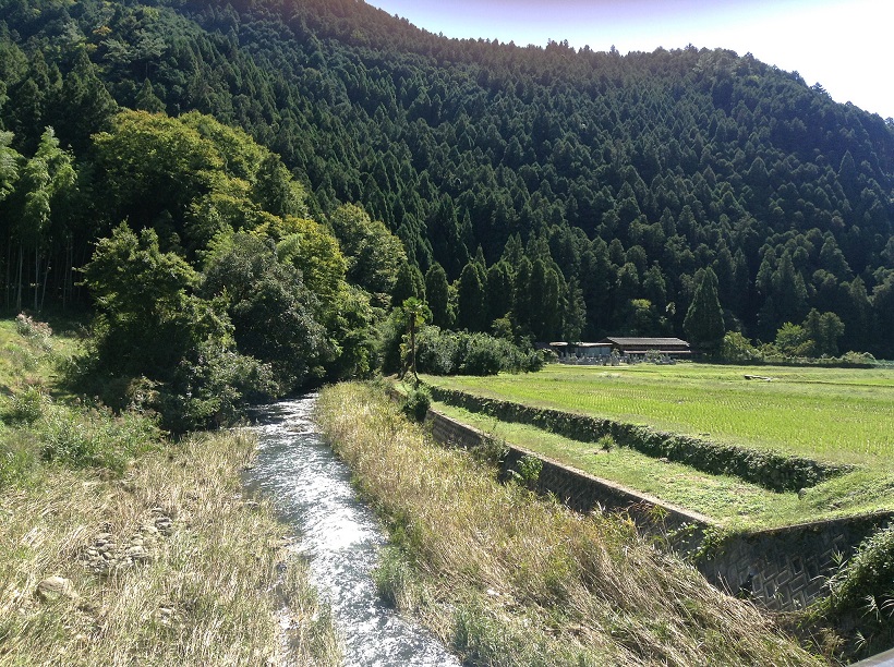 37486980751_e5d0675d91_k