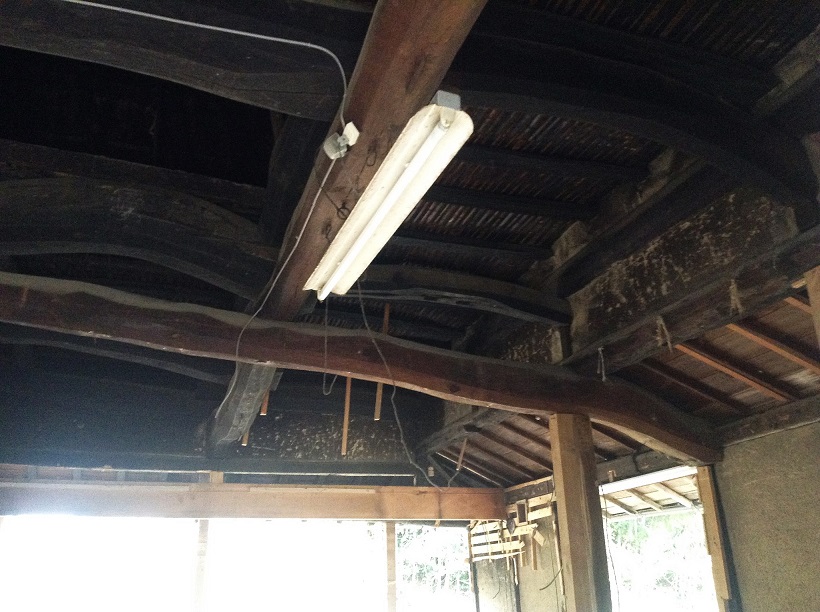 24605971998_cd1d3533fa_k