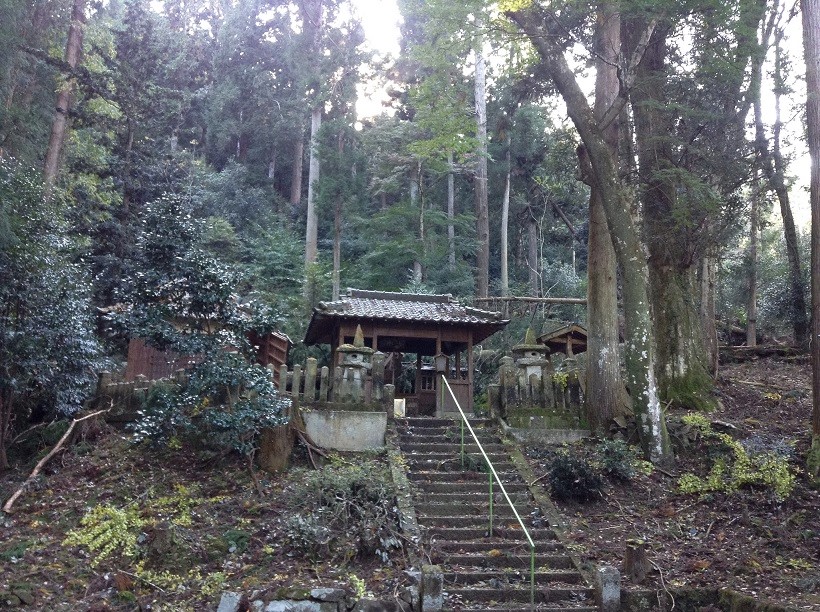 26307061559_c5fe54a961_k