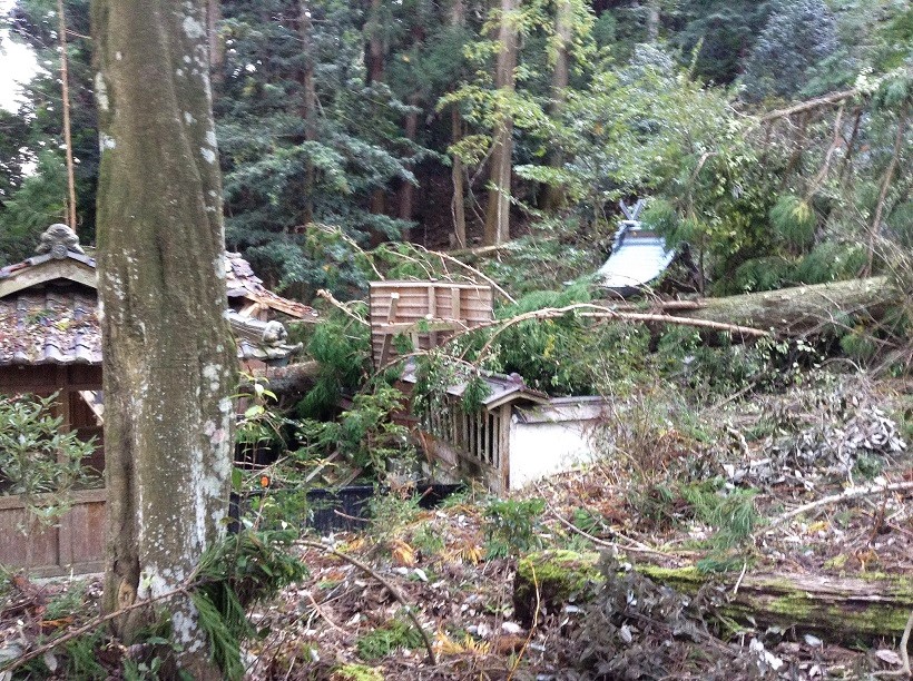 26307170249_f10f496a9a_k