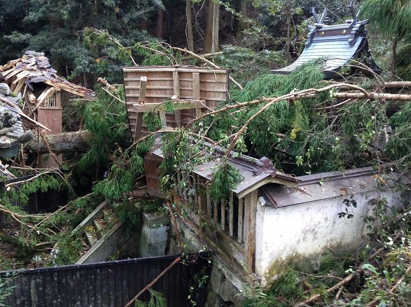 26307193429_8fc7d5b593_k