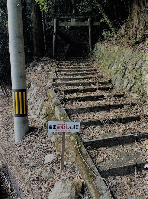 24920983738_705b6f3b45_k