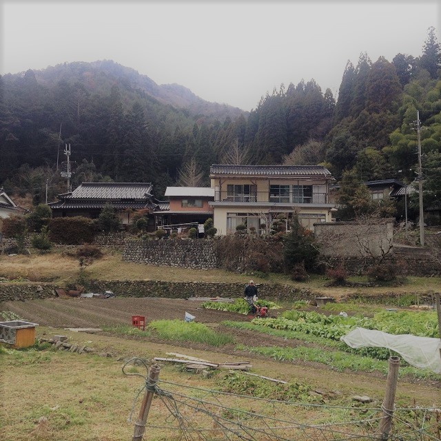 25039833368_ddd97f8aff_h