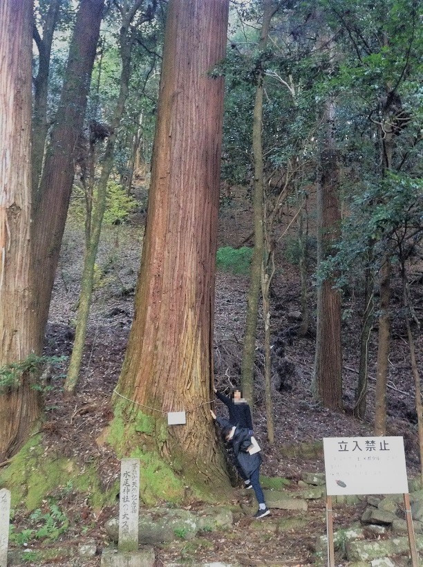 27018971919_b1dd9475f6_k