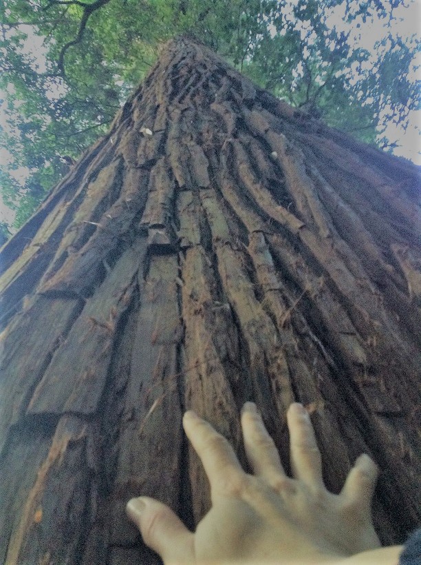 27018992019_114289da6b_k(1)