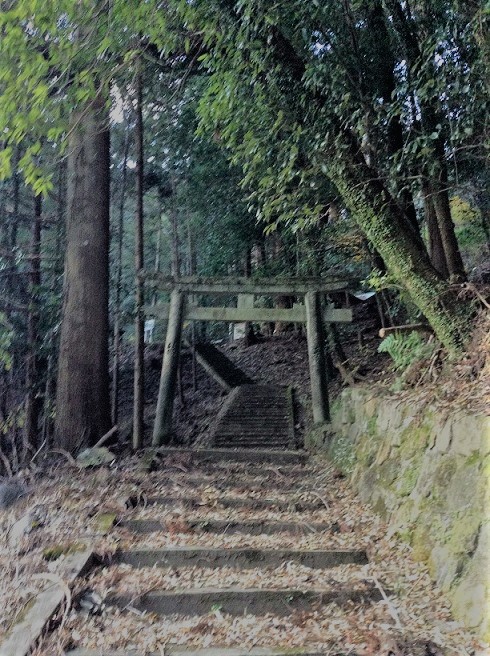 37908107605_809d52c6bc_k