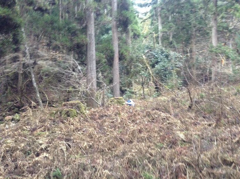 38202619625_4b8034871a_k