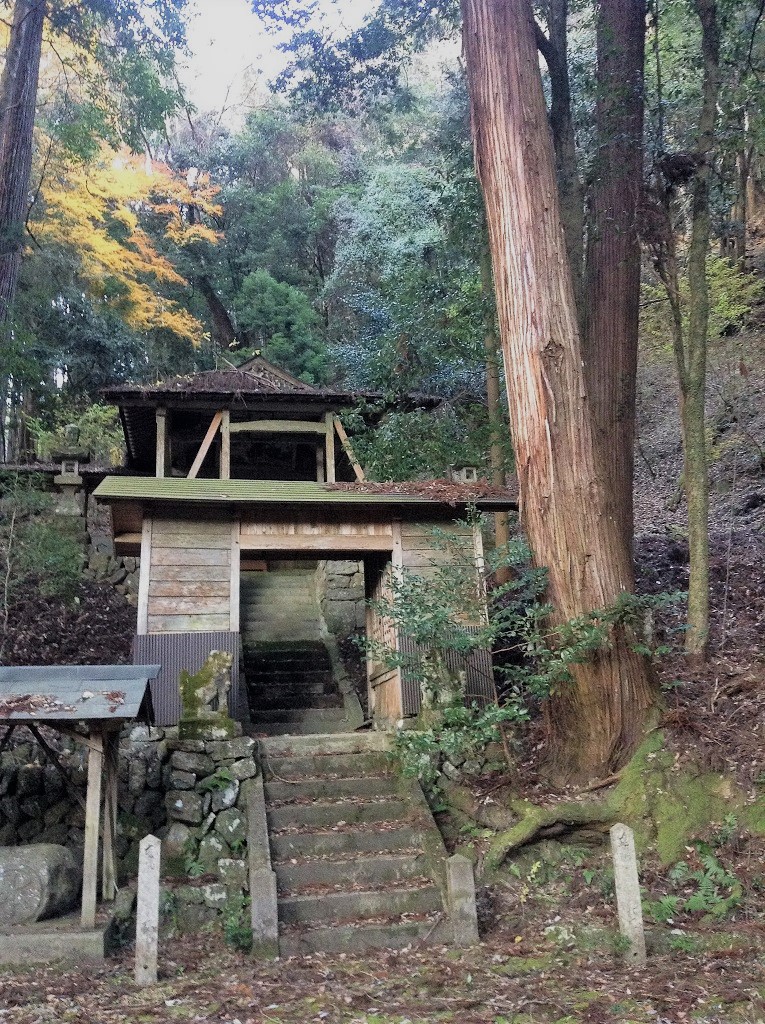 38793790121_76e64c48c9_k(1)