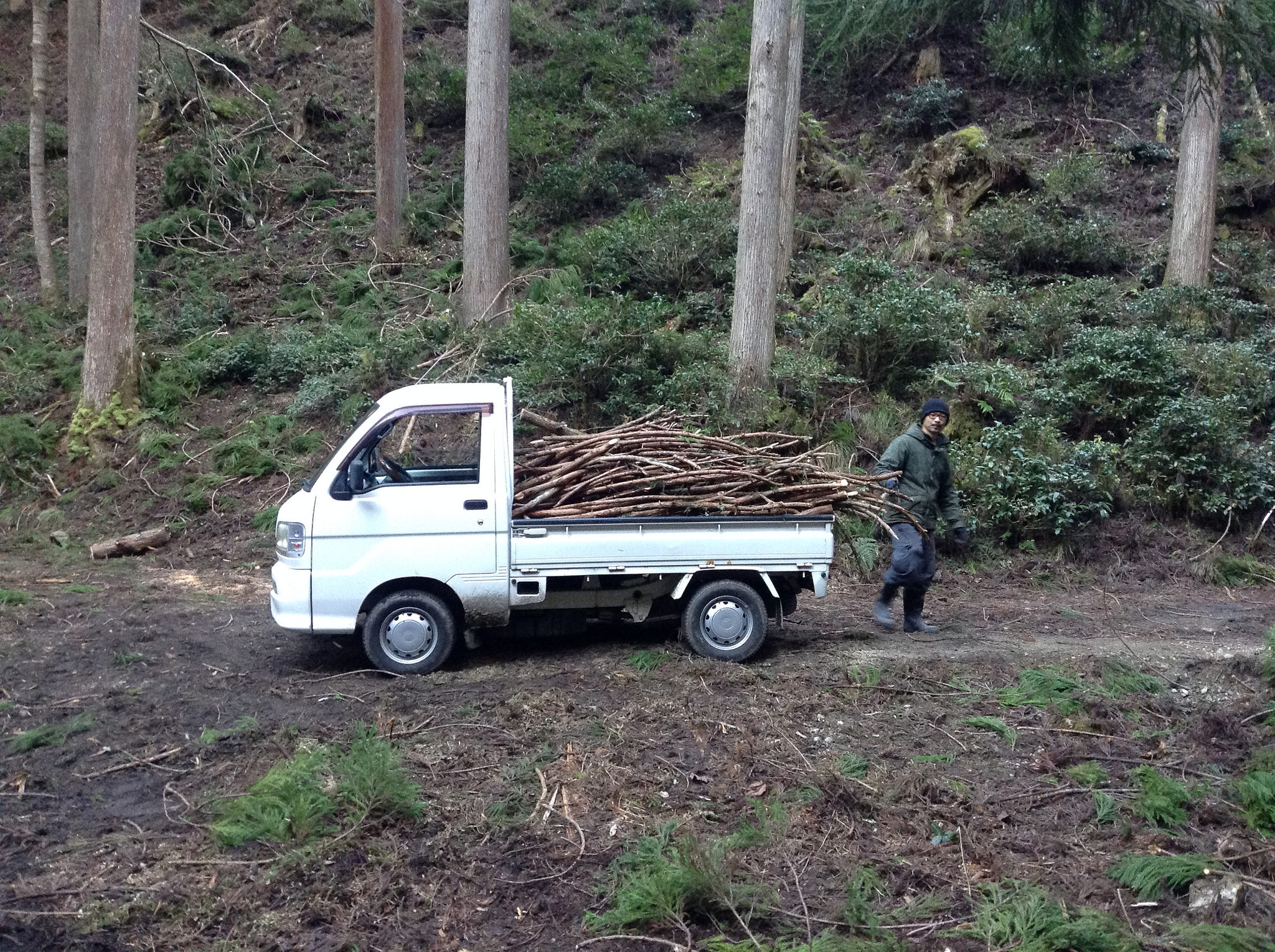 39191203221_b974d9de95_k