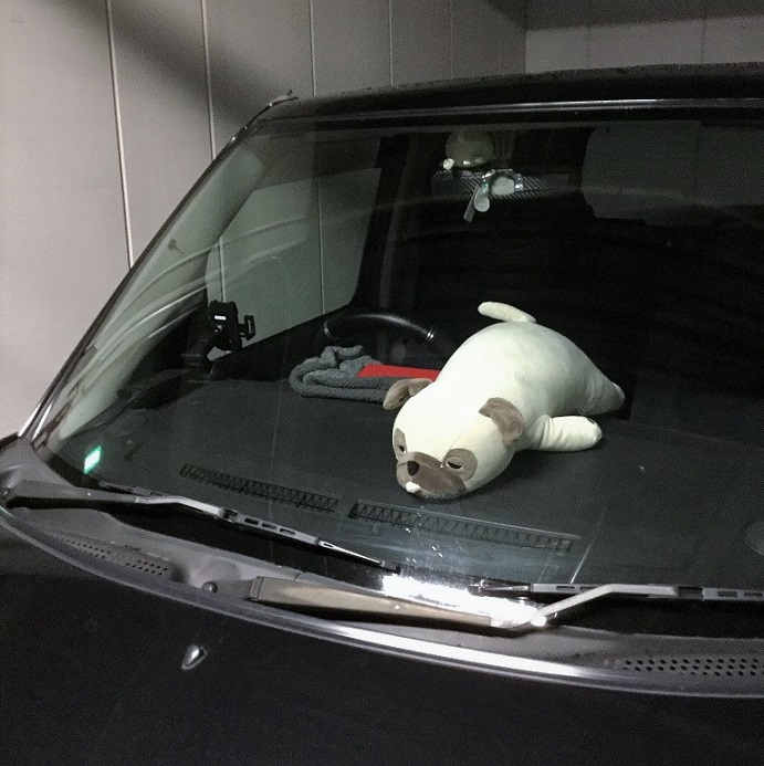 kyoto2018_8088d5cf79_k