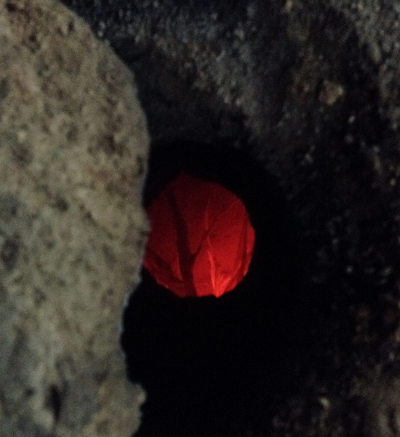 sumiyaki 582af43c99_k