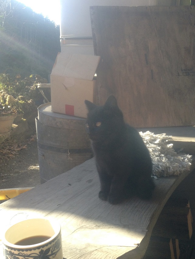 sumiyaki f109a2c2c9_k