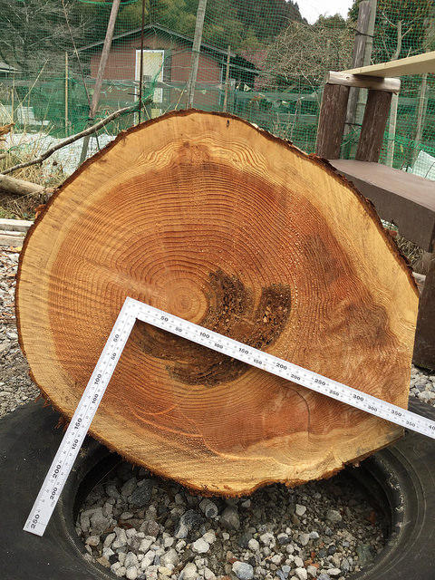 haddon39713533995_bf37ea2525_z