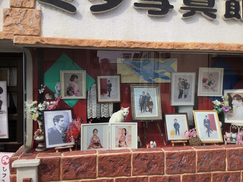 26691990508_fe62fb5e4f_k